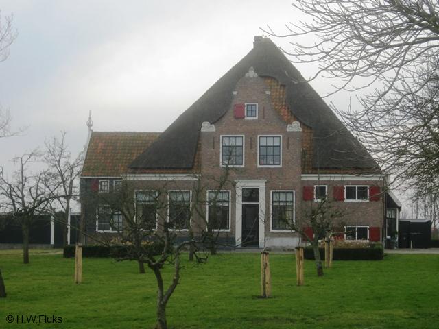 wijdewormer8006