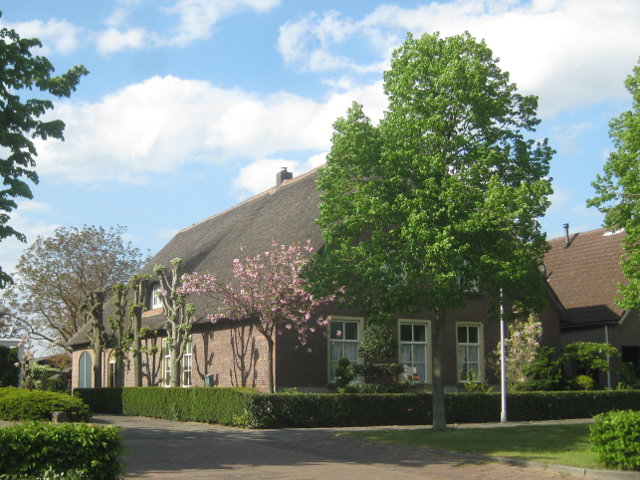 IMG_7152nieuwkuijk