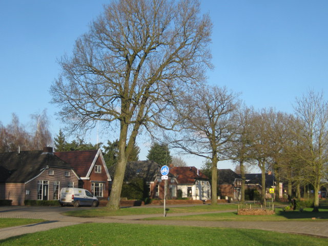 buinerveen3748