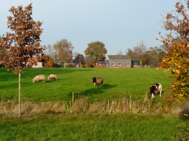 P1120346oldekerk