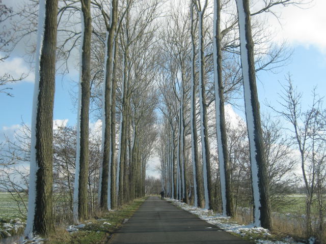 zuidhorn3974