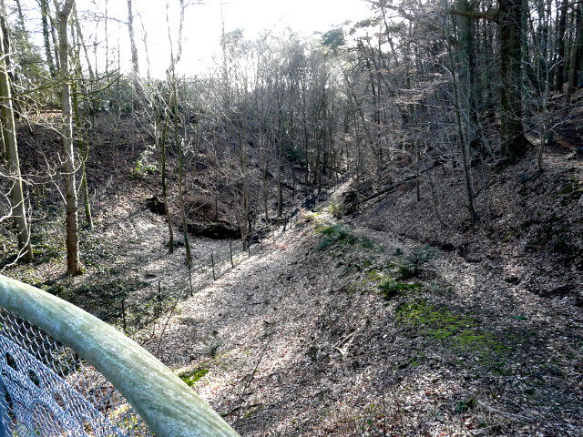 P1130315bergendal