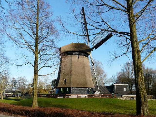 P1130873waarland