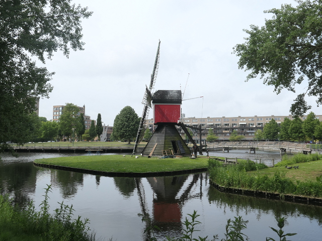 P1370385oegstgeest_z