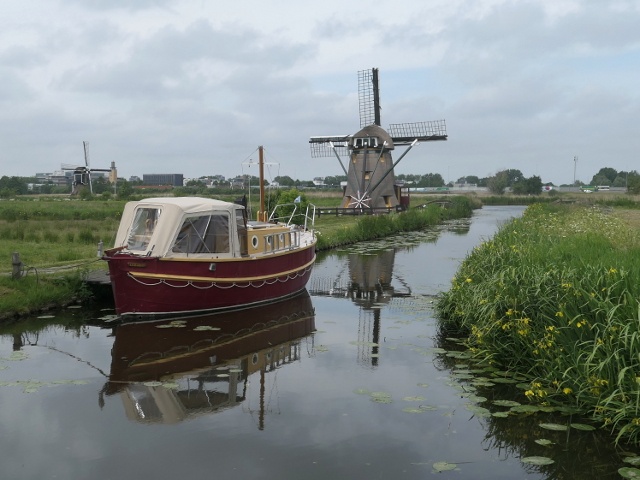 P1370400leiderdorp_z