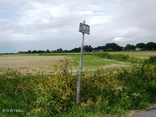 tijumIMGP6199