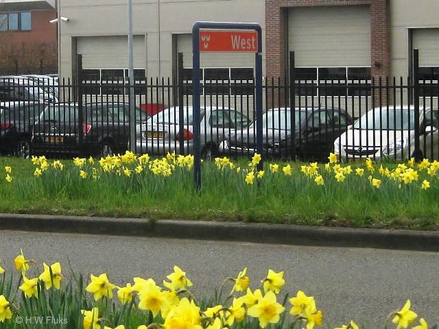 westoosterhout7127