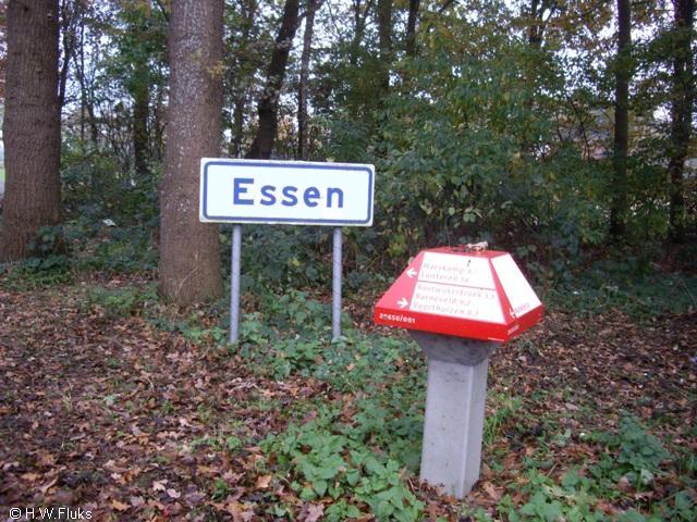 essenIMGP0295
