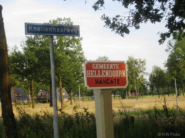 hancate4343