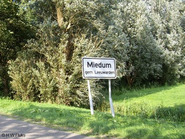 miedumIMGP9219