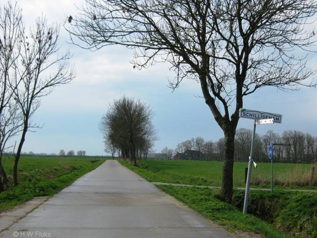 schilligeham007