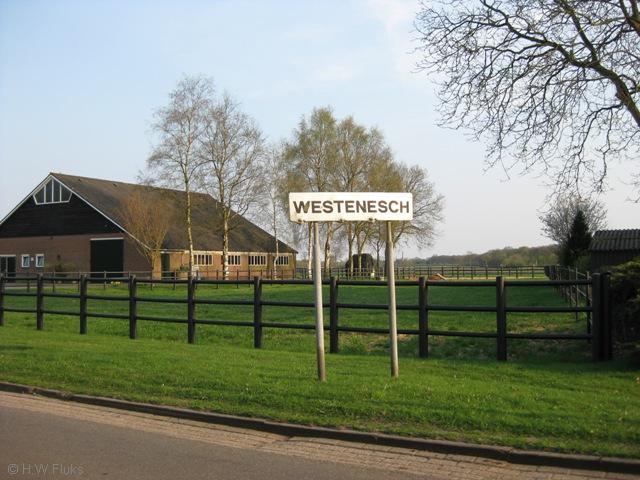 westenesch053