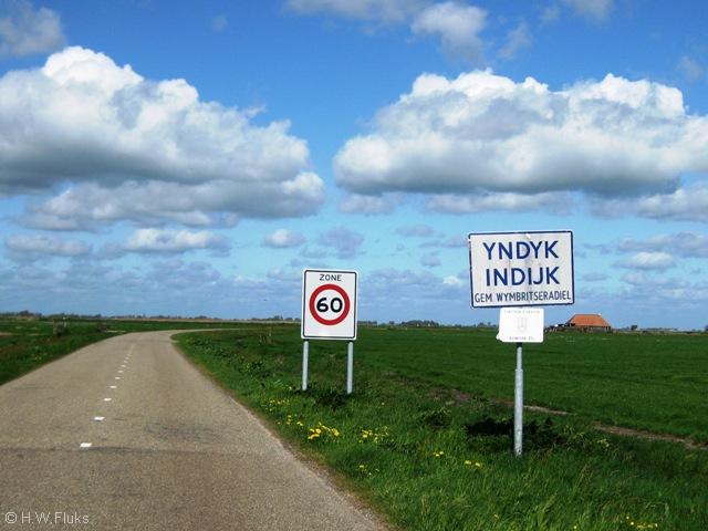 yndyk013
