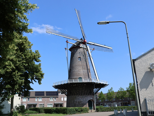 IMG_1009oss_z