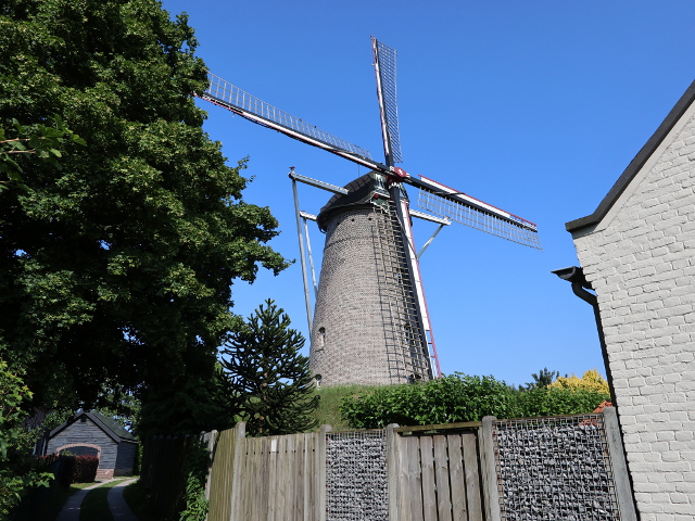 IMG_1037someren_z