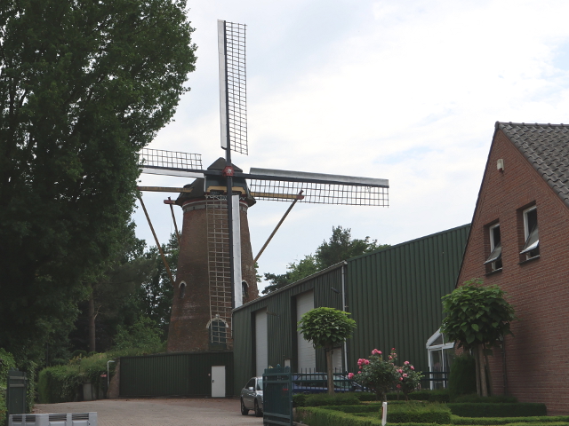 IMG_1095hoeven_z