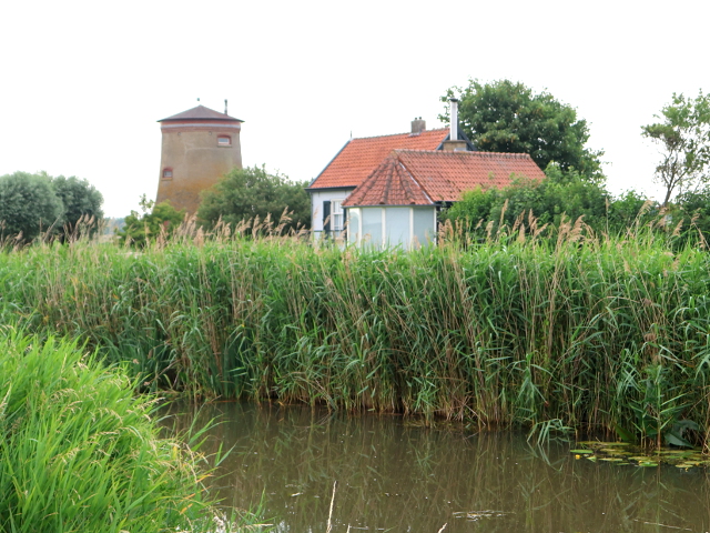 IMG_1103hoogezwaluwe_z