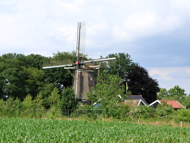 IMG_1163tilligte_z