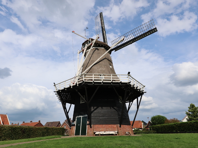 IMG_1165lattrop_z
