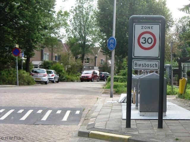 biesbosch3463