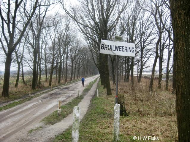 bruilweering7593