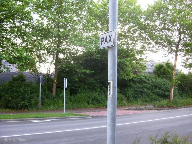 pax3732