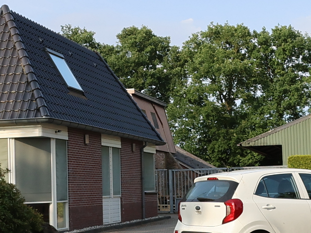 IMG_1405nieuwleusen_z