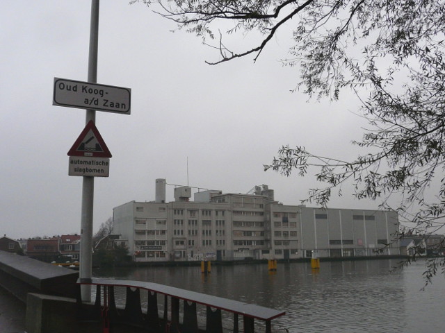 P1120279oudkoogadzaan
