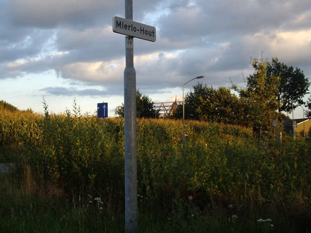 mierlohoutIMGP8819
