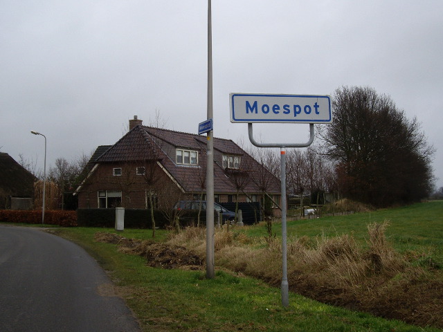 moespotIMGP0758