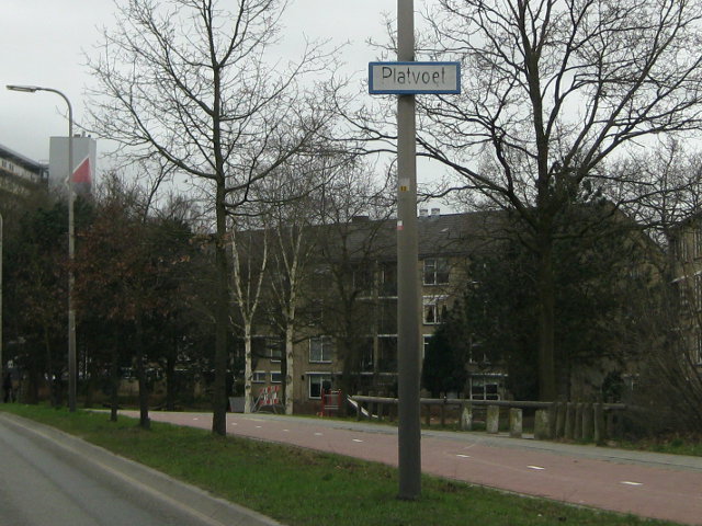 platvoet003