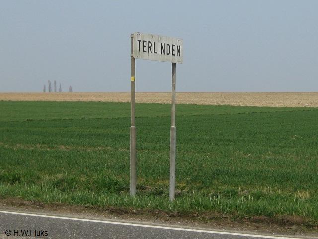 terlindenwitx050