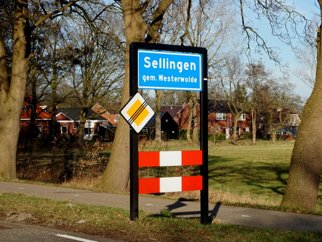 DSC00101sellingen_b
