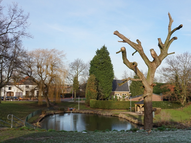 DSC09416kesteren_z