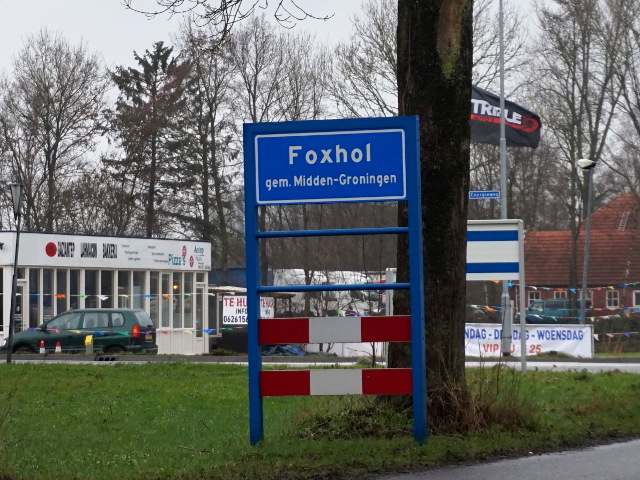 DSC09518foxhol_b