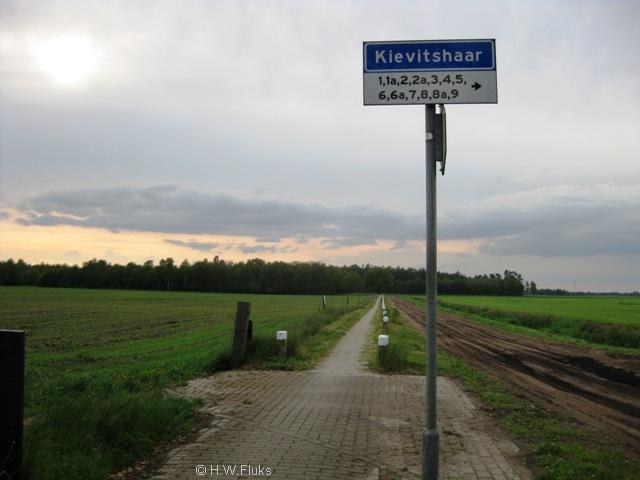 kievitshaar010