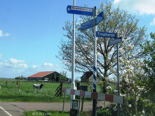 trophorne012