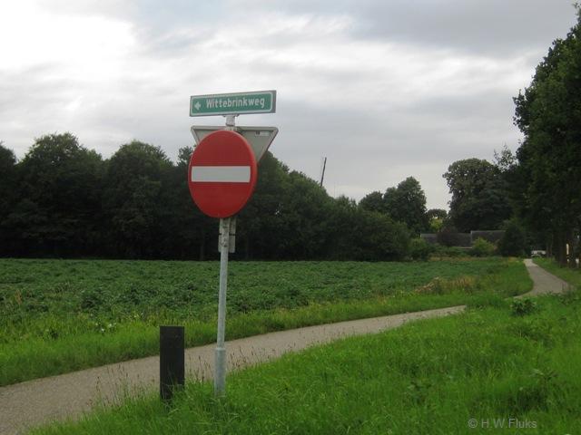 wittebrink3556