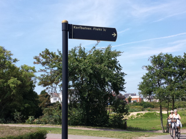 20140716_153909fluksnoordwijk