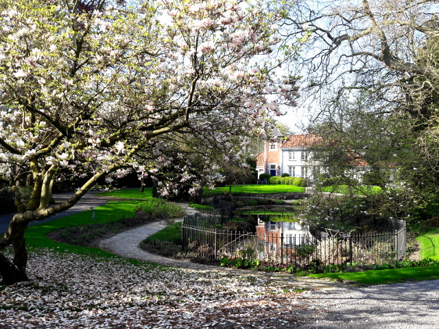 20180418_172656rosmalen_z