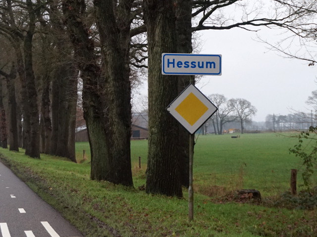 DSC02276hessum_w