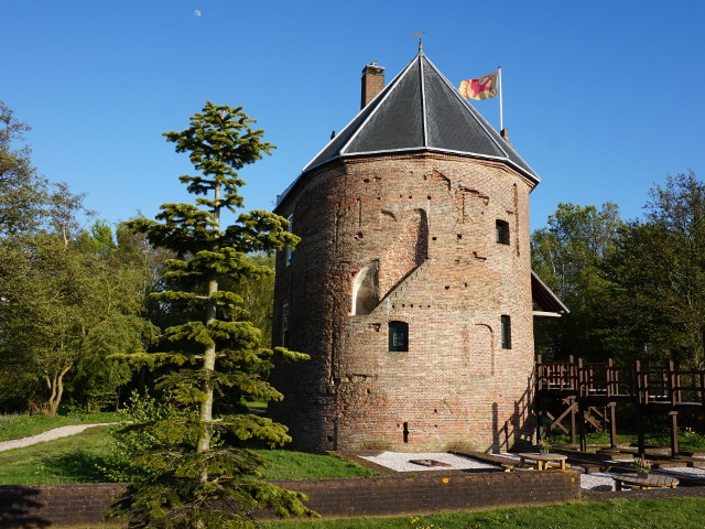 DSC03690lisse_z