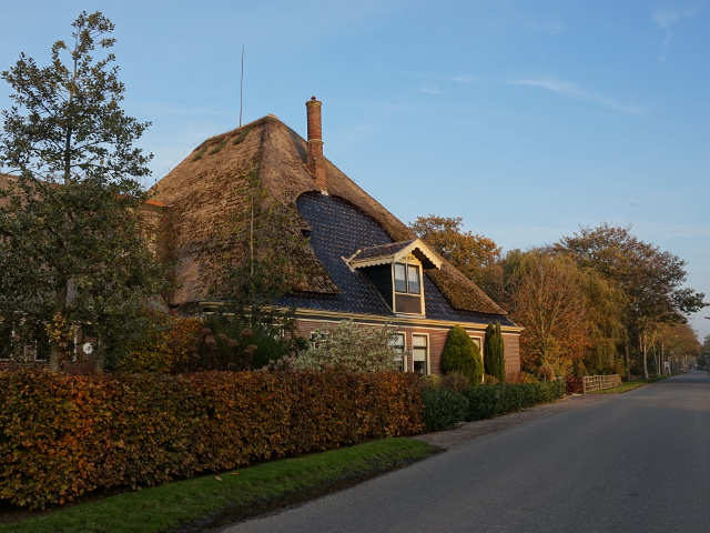 DSC07703sijbekarspel_z