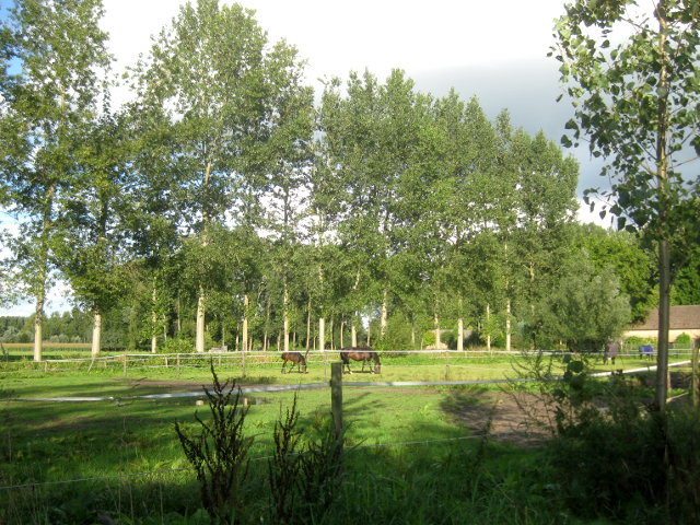 IMG_2346besselaar
