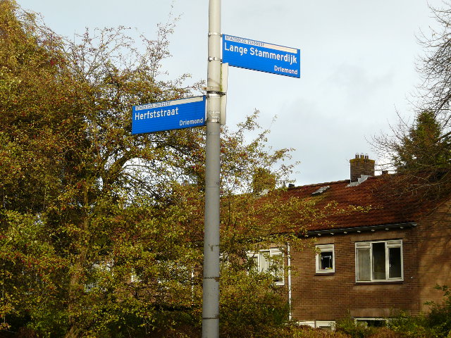 P1010446driemondzuidoost