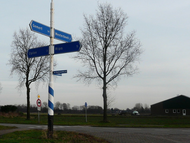 P1020714ripszonderde