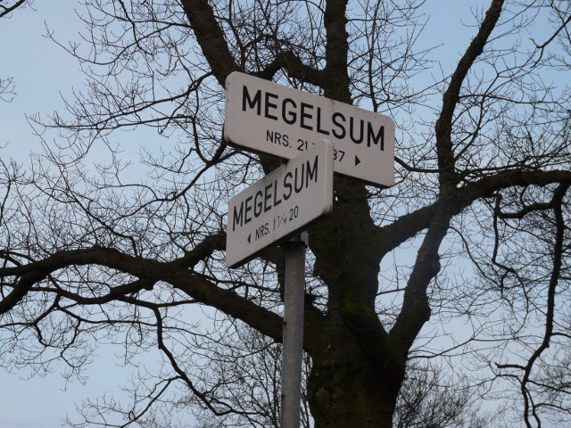 P1020736megelsum