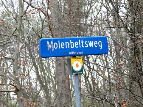 P1030550witteveen