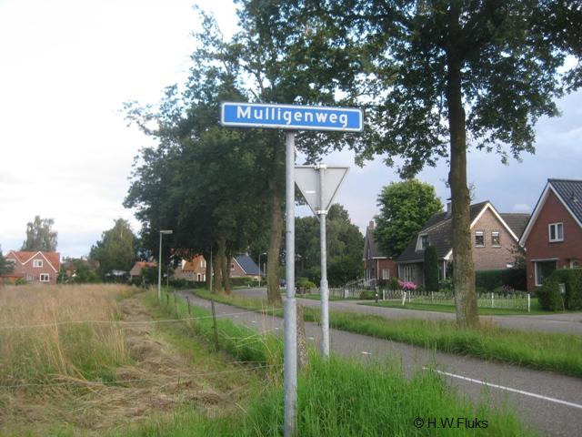 mulligen1408