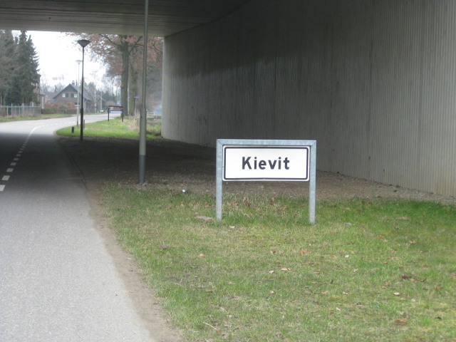 reuverkievit4306